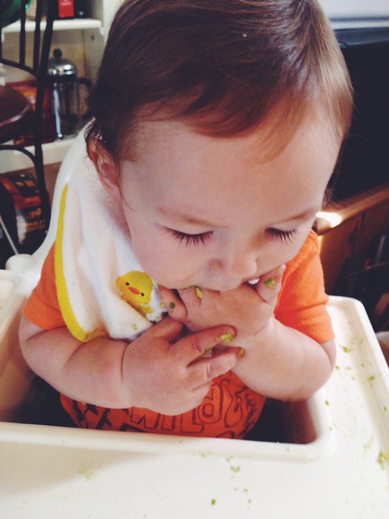 baby led weaning